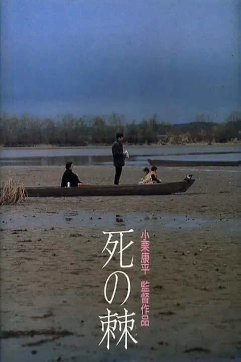 【剧情片】死之棘