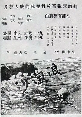 【犯罪片】浪淘沙